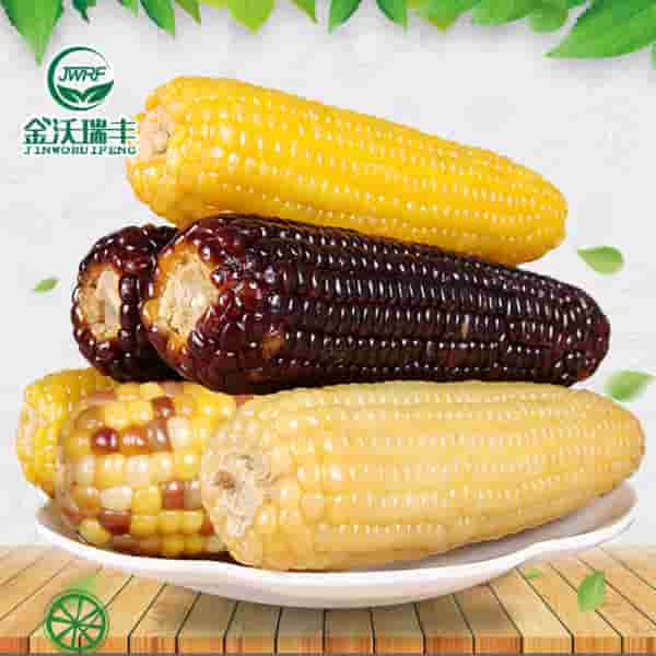 金沃瑞丰甜糯玉米便宜处理了