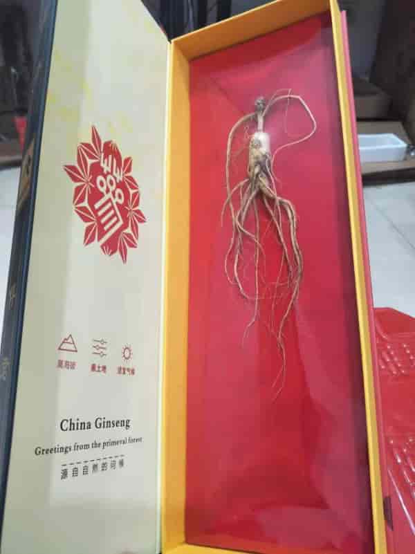 大量出售长白山人参礼盒，