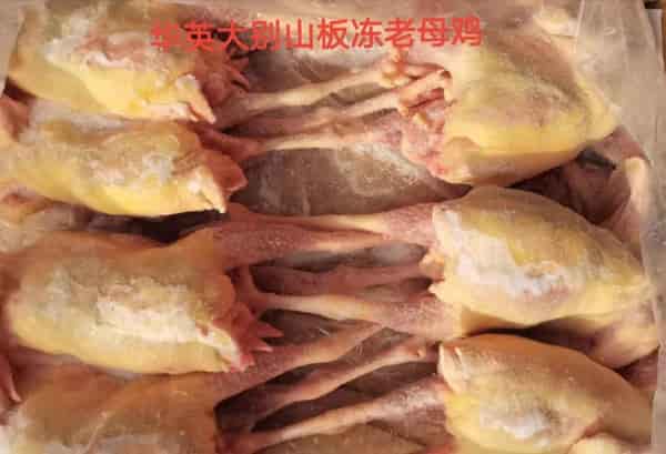 华英农业老母鸡大量有货
