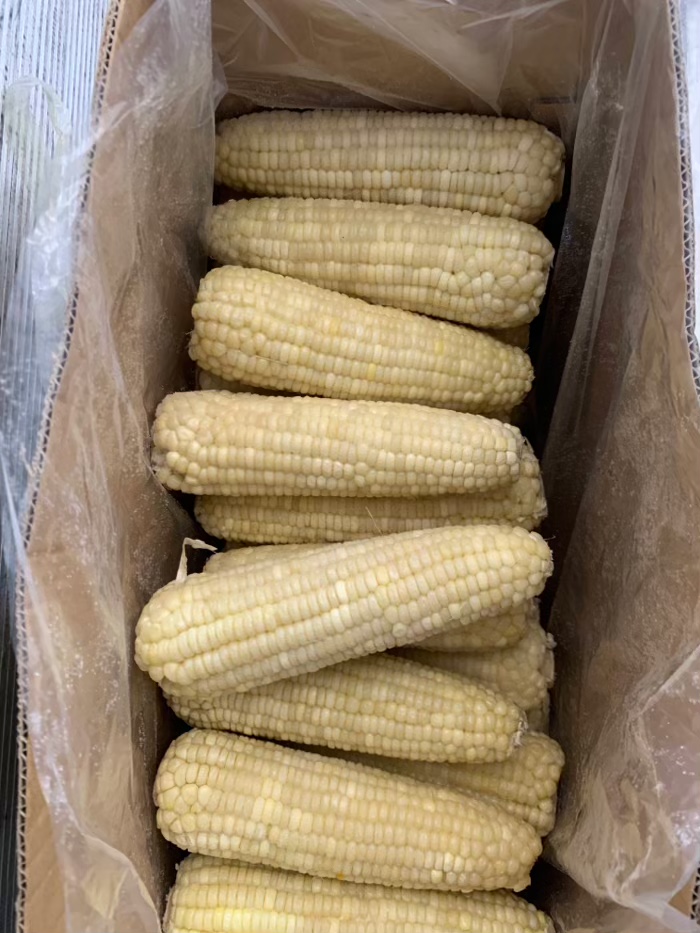 白糯玉米棒