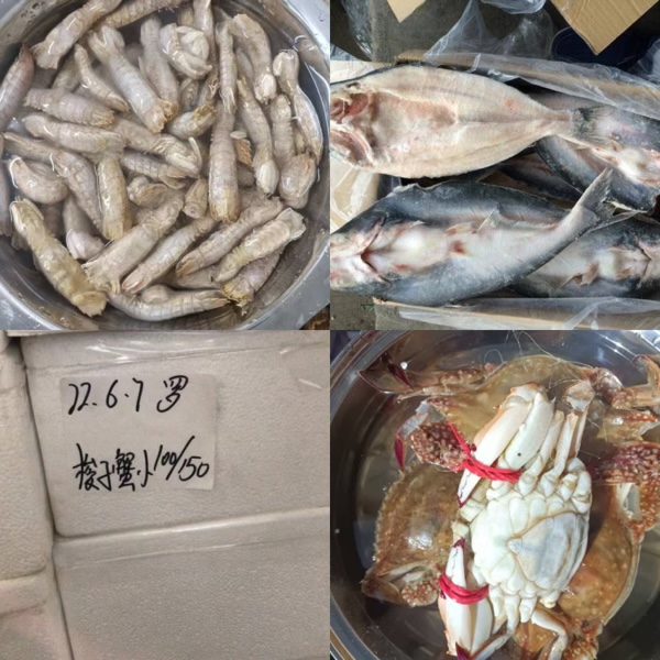 带鱼段、海螃蟹、琵琶虾、巴沙开背鱼货好便宜