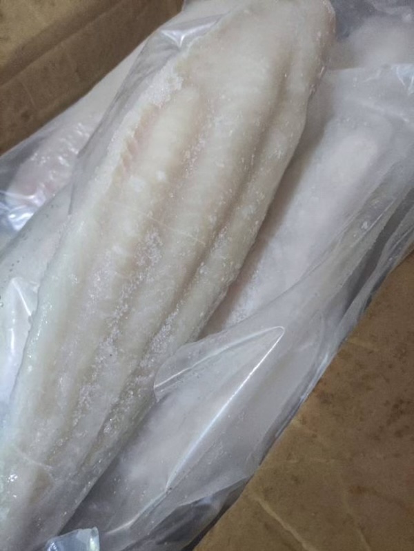 处理1000件带皮巴沙鱼柳